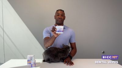 Image showing  Pet Dental Finger Wipes