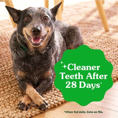 Image showing  Puppy Petite Size Natural Dental Dog Treats, 12 oz.