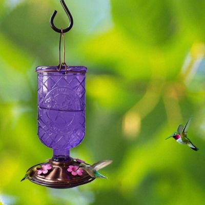 Image showing  20 oz. Whiskey Bottle Hummingbird Feeder, Purple