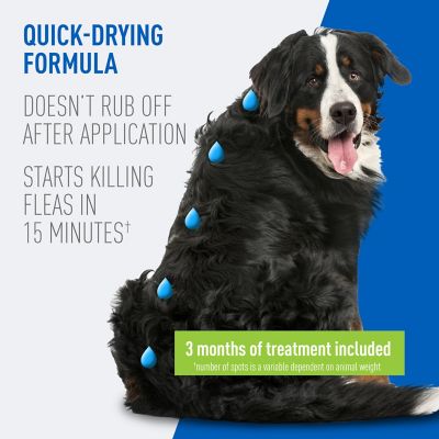Image showing  Flea & Tick Spot On for Dogs X Large 3 Months 12/cs