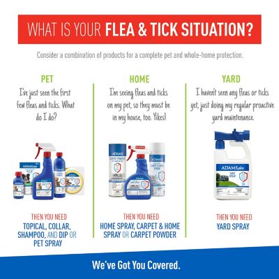 Image showing  Flea & Tick Spot On for Dogs X Large 3 Months 12/cs