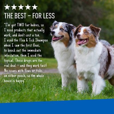 Image showing 6 th Adams Plus Flea & Tick Spot On for Dogs, X Large, 3 mo., 12 Weeks