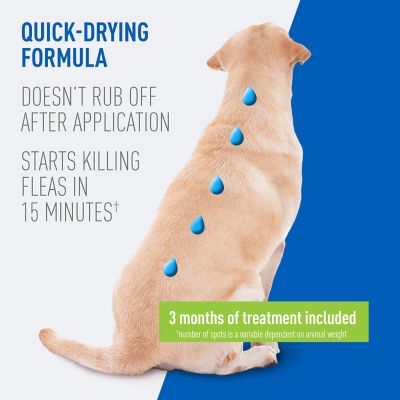 Image showing  Flea & Tick Spot On for Dogs Large 3 Months 12/cs