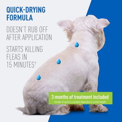Image showing  Flea & Tick Spot On for Dogs Medium 3 Months 12/cs