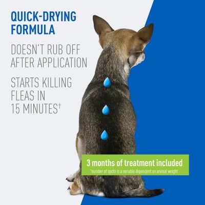 Image showing  Flea & Tick Spot On for Dogs Small 3 Months 12/cs