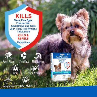 Image showing 9 th Adams Plus Flea & Tick Spot On for Dogs, Small, 3 mo., 12 Weeks