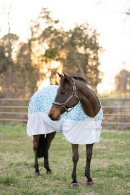 TuffRider Comfy Plus Daisy Print Fly Sheet