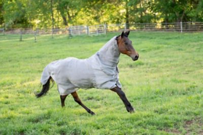 Image showing  NevaTear Technical Combo Neck Fly Sheet