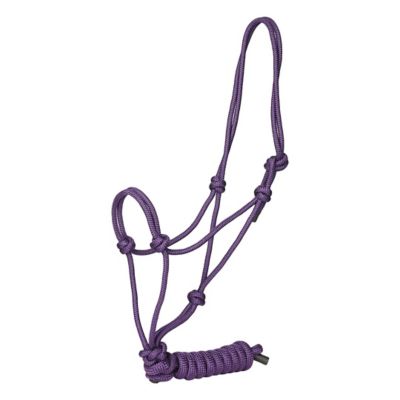 TuffRider Rugged Rope Halter with matching 6 foot lead