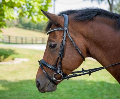Image showing  Diamonte Dressage Bridle