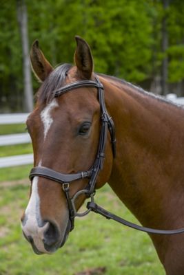 Henri de Rivel Pro Anatomical Bridle, Cob,Havana at Tractor Supply Co