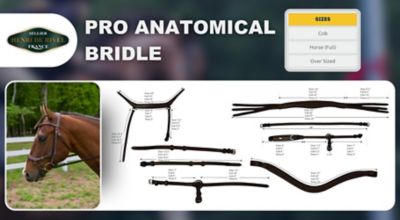 Image showing  Pro Anatomical Bridle