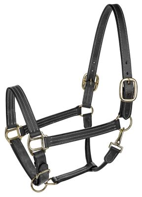 Image showing  Triple Stitched Halter