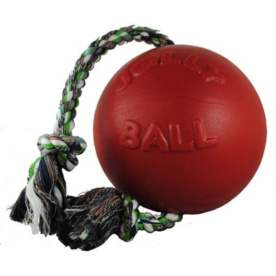 Jolly Pets Romp-n-Roll Ball Dog Toy, 6 in.