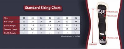 Image showing 4 th Lettia Memory Foam Dressage Sherpa Fleece Clik Girth