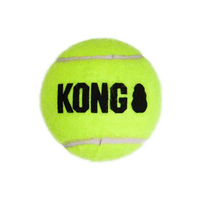 Image showing  SqueakAir Ball Large Dog Toy