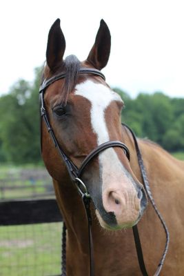 Product color Australian Nut