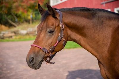 Product TrademarkColor1