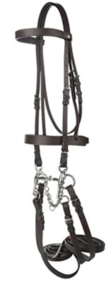 Image showing  Polo Bridle With Double Reins