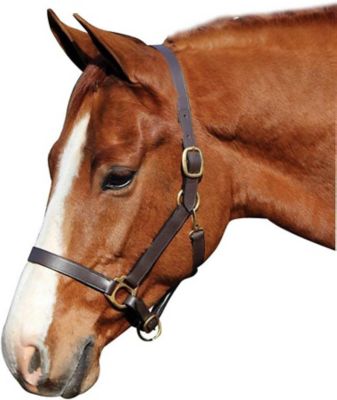 Henri de Rivel Advantage Leather Halter