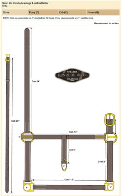 Image showing  Advantage Leather Halter