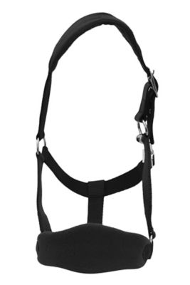 Image showing 2 th Henri de Rivel Ergonomic Comfort Halter and Lead Rope Set