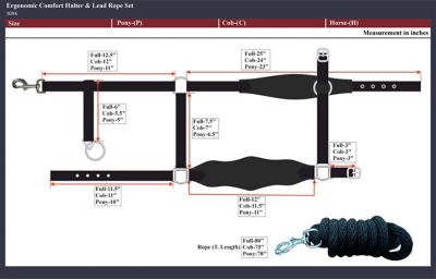 Image showing 4 th Henri de Rivel Ergonomic Comfort Halter and Lead Rope Set