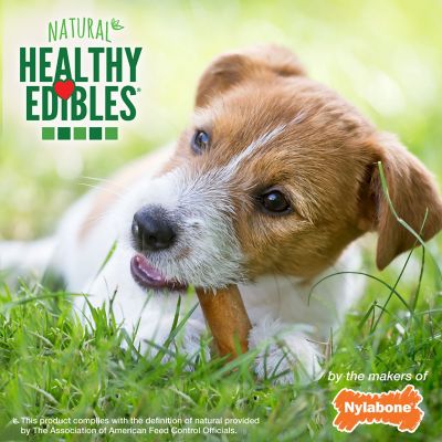 Image showing 5 th Nylabone Healthy Edibles Natural Dog Chews Variety Pack