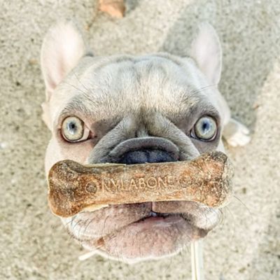 Image showing  Beef Healthy Edibles, 2 Pack