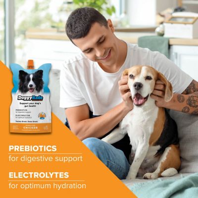 Image showing 2 th DoggyRade Prebiotic Drink Chicken, 16.9 fl. oz.