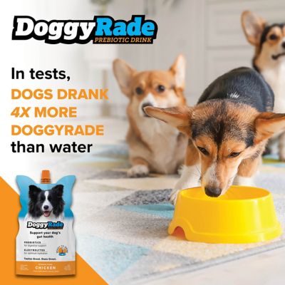 Image showing 3 th DoggyRade Prebiotic Drink Chicken, 16.9 fl. oz.