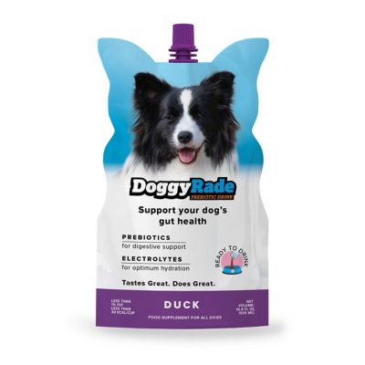 DoggyRade Prebiotic Drink Duck, 16.9 fl. oz.