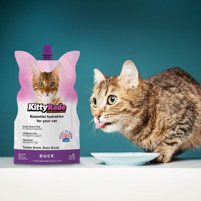 Image showing  Prebioitic Drink Duck, 8.4 fl. oz.