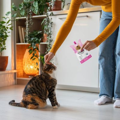 Image showing  Prebiotic Drink Salmon, 3 x 8.4 fl. oz.