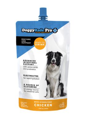 DoggyRade Pro Prebiotic Drink for Intestinal Support, Chicken Flavor, 16.9 fl oz pouches