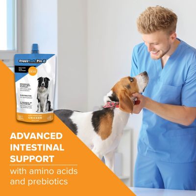 Image showing  Pro Prebiotic Drink for Intestinal Support, Chicken Flavor, 16.9 fl oz pouches