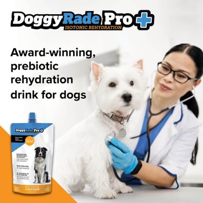 Image showing  Pro Prebiotic Drink for Intestinal Support, Chicken Flavor, 16.9 fl oz pouches