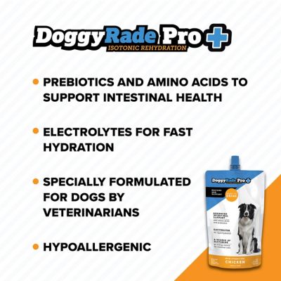 Image showing 5 th DoggyRade Pro Prebiotic Drink for Intestinal Support, Chicken Flavor, 16.9 fl. oz. pouches
