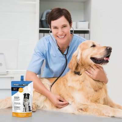 Image showing  Pro Prebiotic Drink for Intestinal Support, Chicken Flavor, 6 x 16.9 fl oz pouches