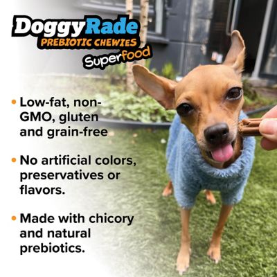 Image showing 5 th DoggyRade Prebiotic Superfood Chews Blueberrry Broccoli Chia Seeds, 3.5 oz.