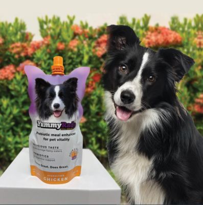 Image showing 6 th YummyRade Meal Enhancer for Dogs, 8.4 fl. oz.