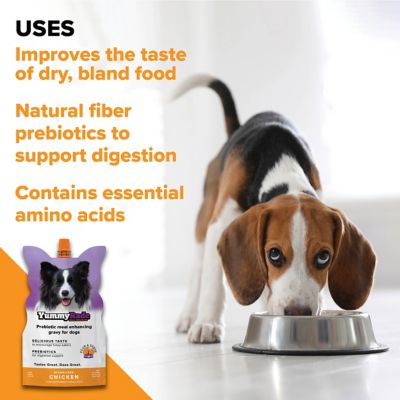Image showing  Meal Enhancer for Dogs, 3 x 8.4 fl. oz.