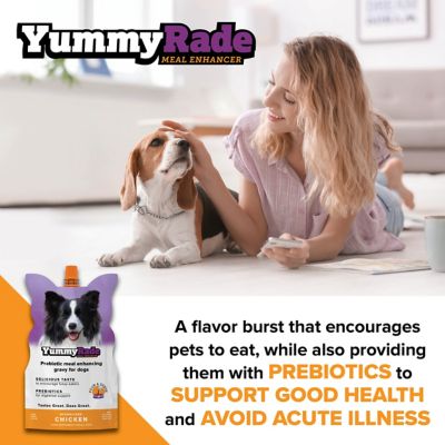 Image showing  Meal Enhancer for Dogs, 3 x 8.4 fl. oz.