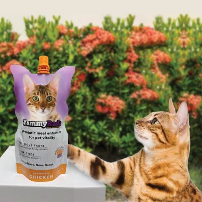 Image showing  Meal Enhancer for Cats, 10 x 8.4 fl. oz.