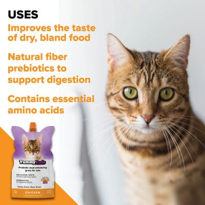 Image showing  Meal Enhancer for Cats, 10 x 8.4 fl. oz.
