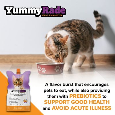 Image showing  Meal Enhancer for Cats, 10 x 8.4 fl. oz.