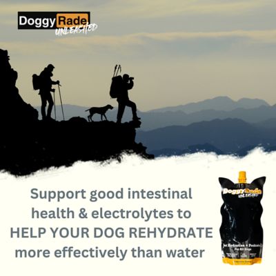 Image showing 5 th DoggyRade Unleashed Hydration + Prebiotic Sport Drink for Dogs, 8.4 fl. oz.