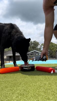 Image showing 6 th DoggyRade Unleashed Hydration + Prebiotic Sport Drink for Dogs, 8.4 fl. oz.