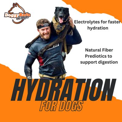 Image showing  Unleashed Hydration + Prebioitics Sport Drink, 10 x 8.4 fl. oz.