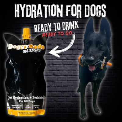 Image showing  Unleashed Hydration + Prebiotic Sport Drink and Chew Bundle, 3 x 8.4 2 x 3.5 oz.